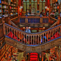 Exploring the World of Books: A Comprehensive Guide to Bookstores in York County, South Carolina